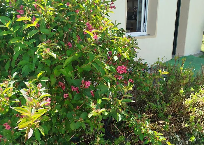 Dom wakacyjny O Lar De Udala *